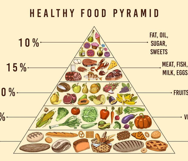 The Food Pyramid is Killing You | The Food Pyramid Drives Disease ...